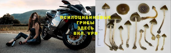 наркотики Горняк