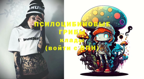 ГАЛЛЮЦИНОГЕННЫЕ ГРИБЫ Вяземский