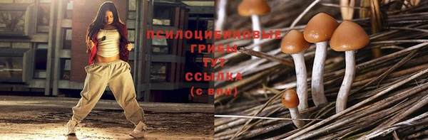 ГАЛЛЮЦИНОГЕННЫЕ ГРИБЫ Вяземский