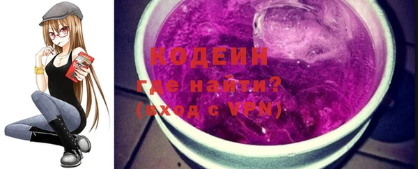 ГАЛЛЮЦИНОГЕННЫЕ ГРИБЫ Вяземский
