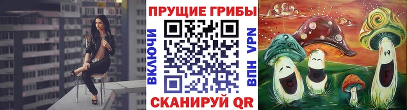omg рабочий сайт продажа наркотиков Гуково Галлюциногенные грибы GOLDEN TEACHER