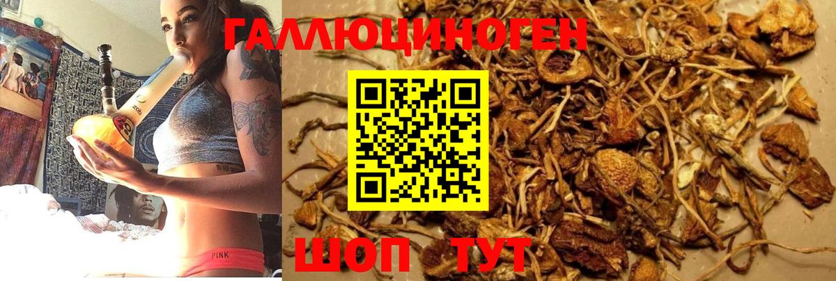 Псилоцибиновые грибы прущие грибы  Галлюциногенные грибы мицелий  Гуково  Вход с VPN 